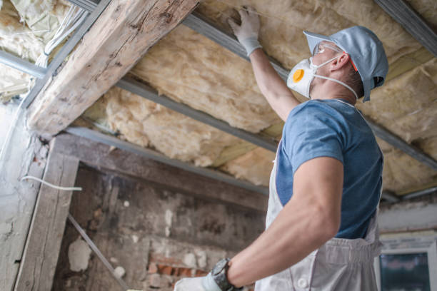 Best Home Insulation Services  in Wingate, NC